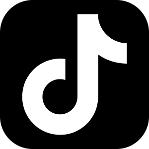 Tiktok icon.svg